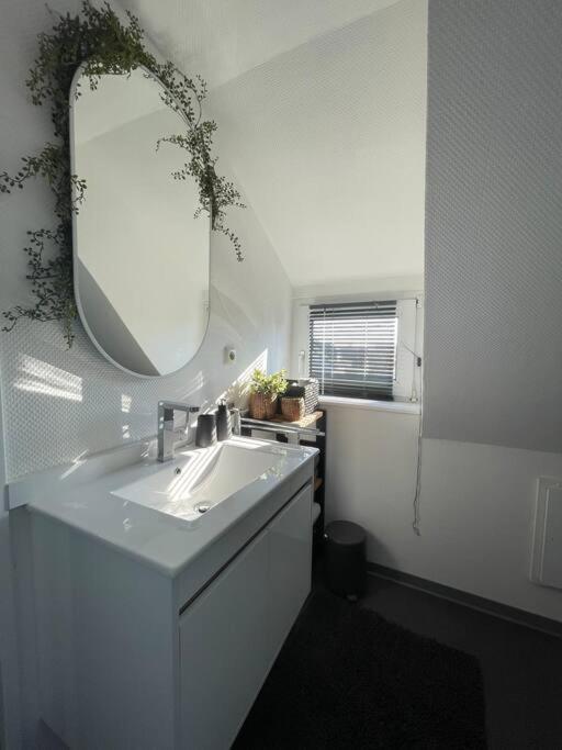 Gemuetliche, Helle Wohnung In 帕德博恩 外观 照片