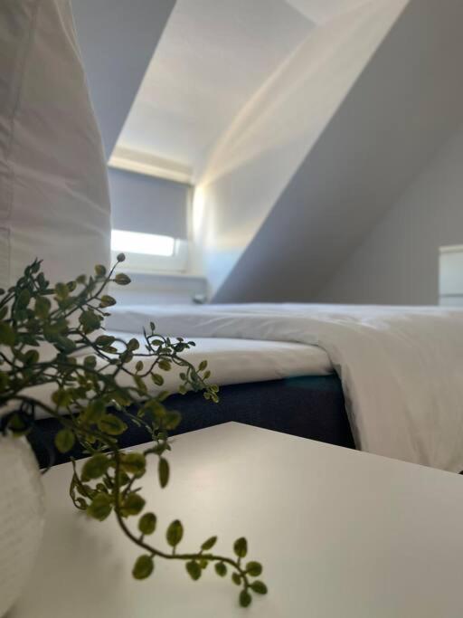 Gemuetliche, Helle Wohnung In 帕德博恩 外观 照片